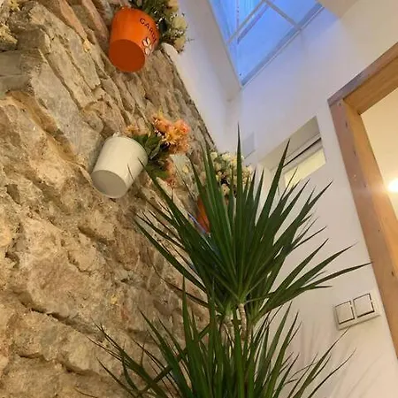 Cozy By The Sea דירה