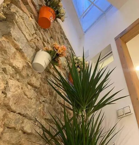 Cozy By The Sea Lejlighed